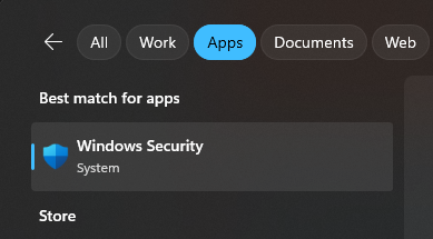 Search Windows Security