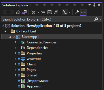 Visual Studio Solution Explorer with a Blazor WebAssembly App